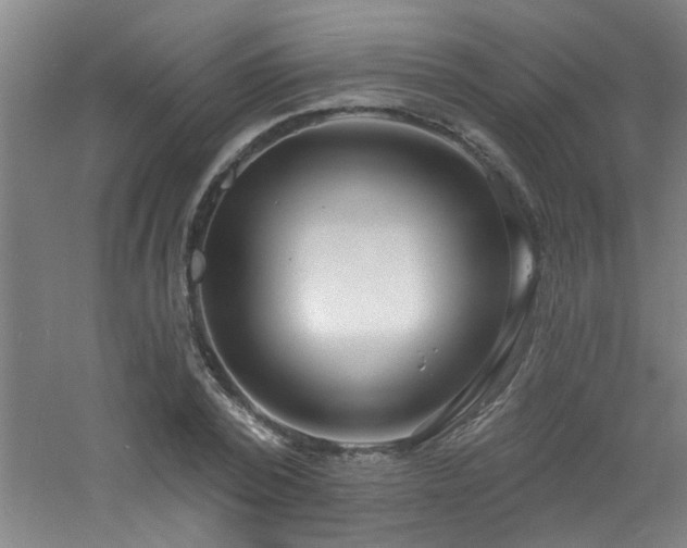 X0000060810784200511101452