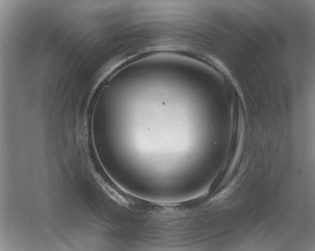 X0000060810787200511101452