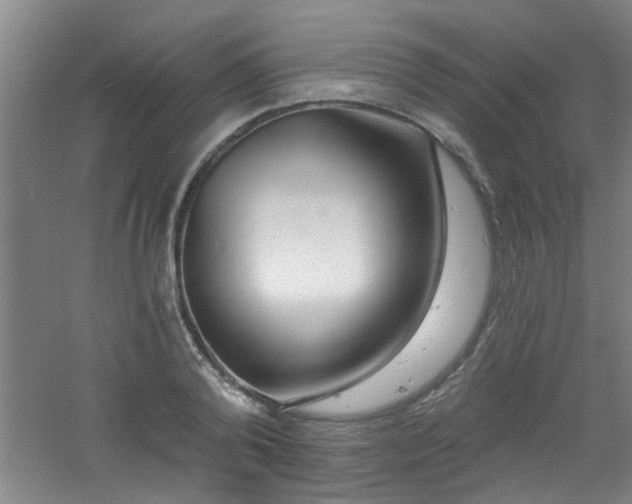 X0000060810792200511101451