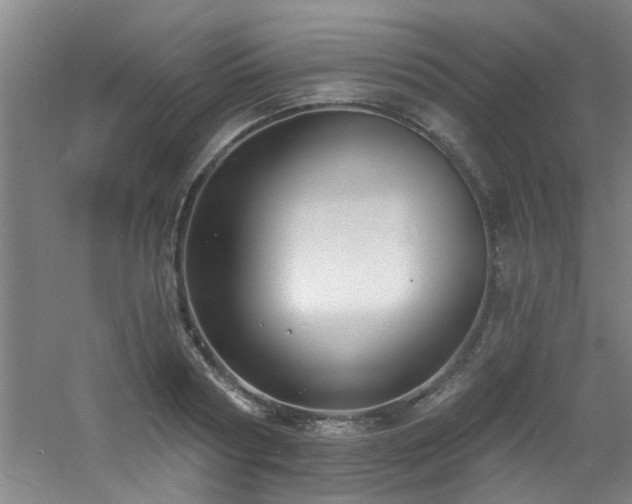 X0000060810794200511101451