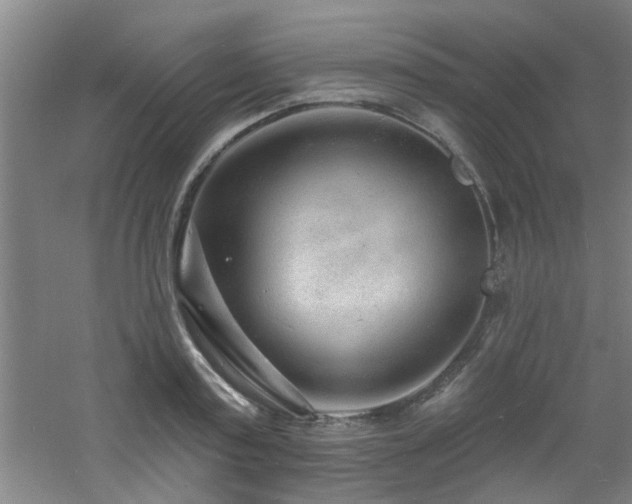 X0000060810795200511101451