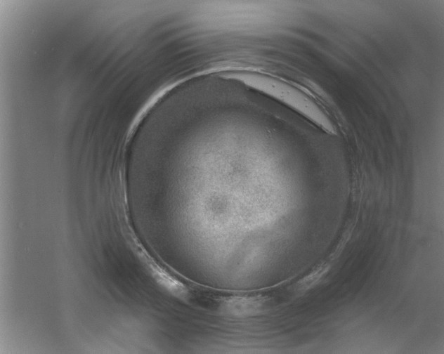 X0000060810796200511101451