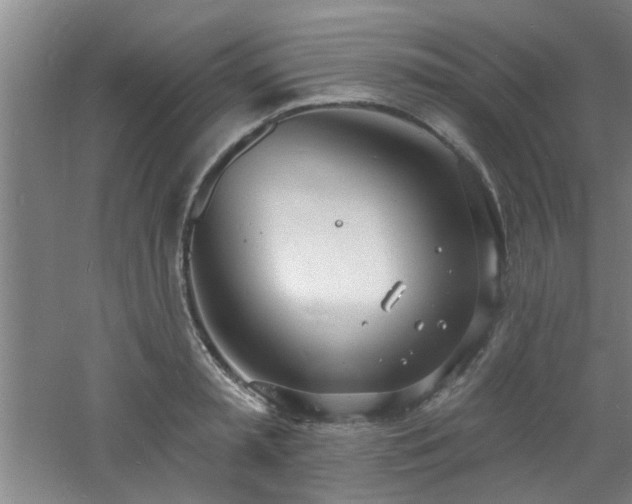 X0000060810797200511101451