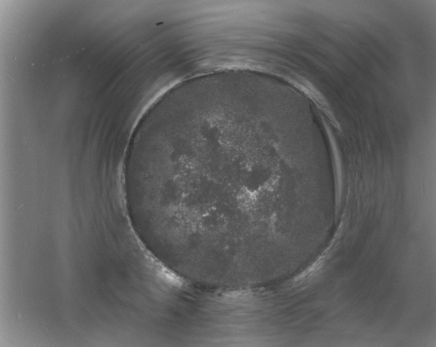 X0000060810798200511101451