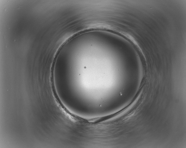 X0000060810799200511101451