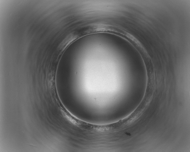 X0000060810801200511101451