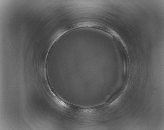 X0000060810802200511101451