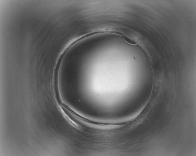 X0000060810803200511101451