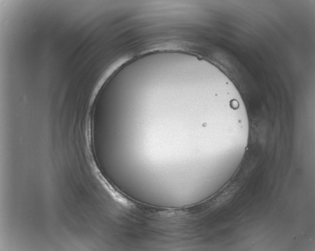 X0000060810804200511101451