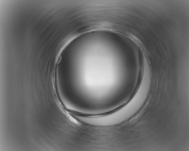 X0000060810812200511101451