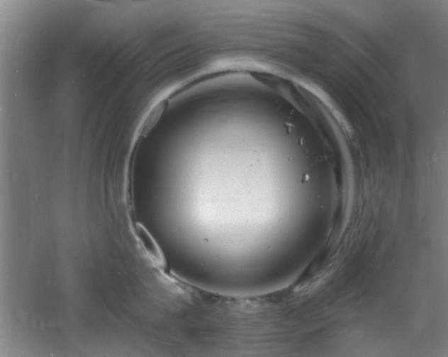 X0000060810815200511101451