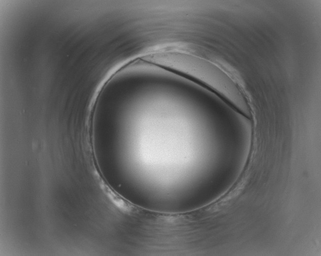 X0000060810816200511101451