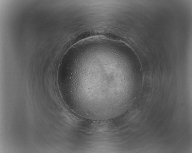 X0000060810817200511101450