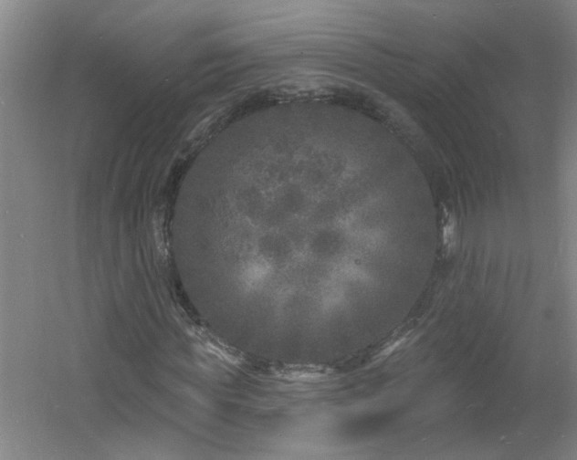 X0000060810819200511101450