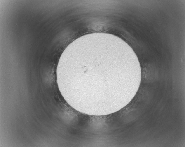 X0000060810820200511101450