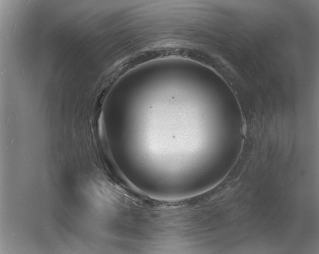 X0000060810821200511101450