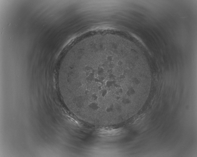 X0000060810823200511101450