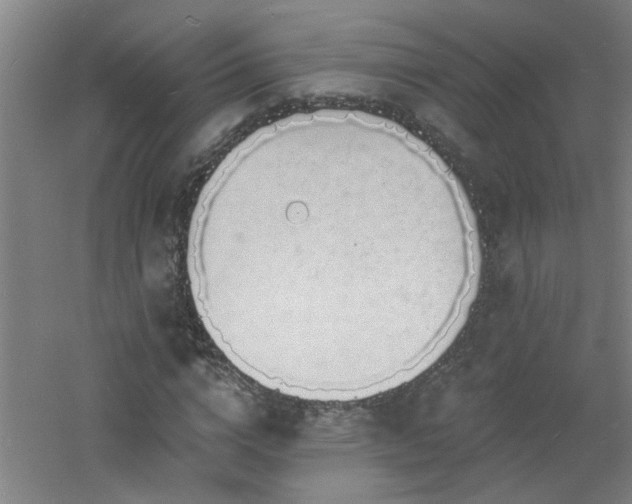 X0000060810824200511101450