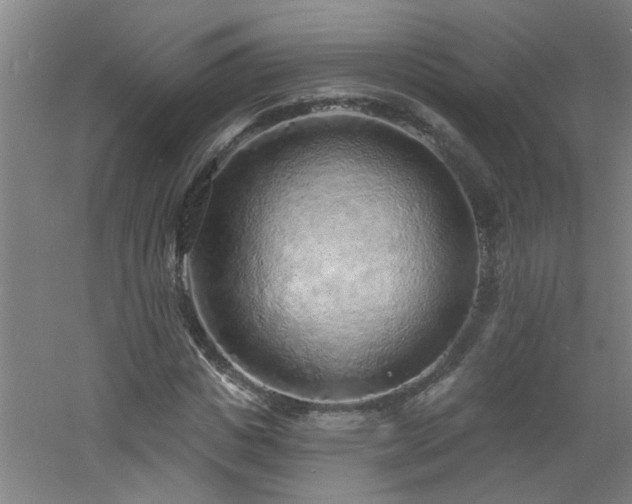 X0000060810825200511101450