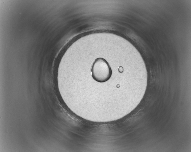 X0000060810828200511101450