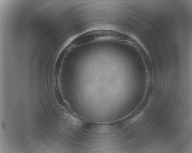 X0000060810829200511101450