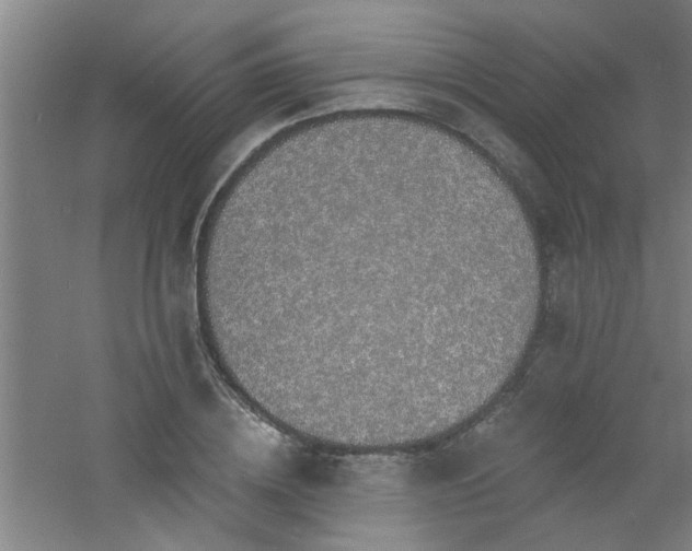 X0000060810836200511101451