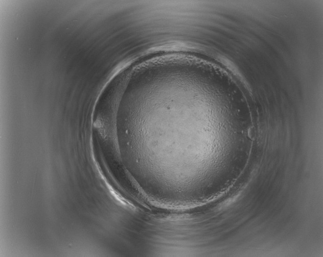 X0000060810845200511101451