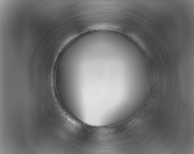 X0000060810848200511101451