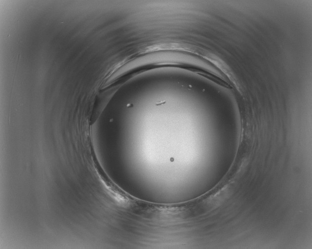 X0000060810849200511101451