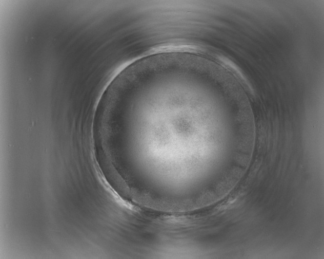 X0000060810852200511101451