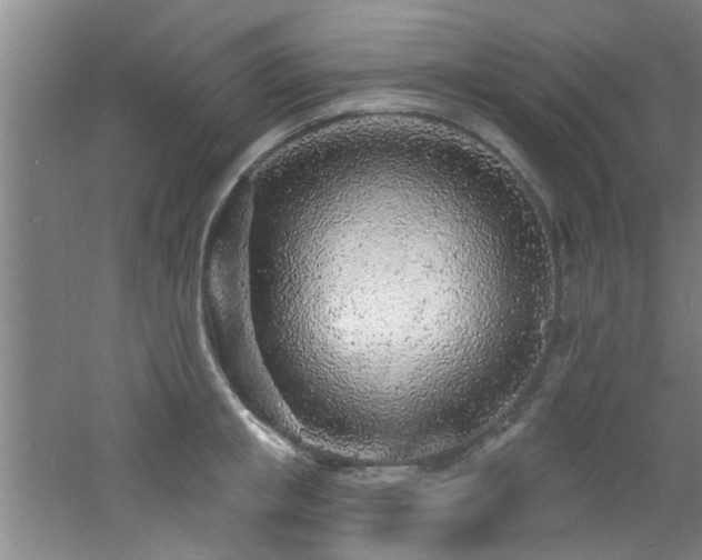 X0000060810853200511101451