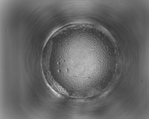 X0000060810855200511101451