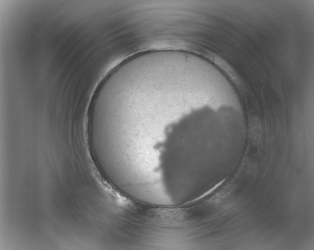 X0000060810856200511101451