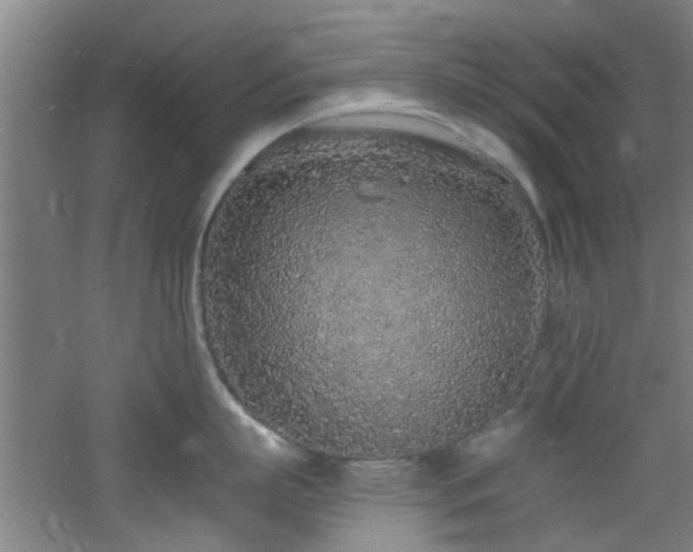 X0000060810863200511101451