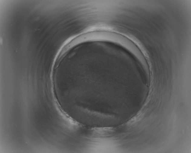 X0000060810864200511101451