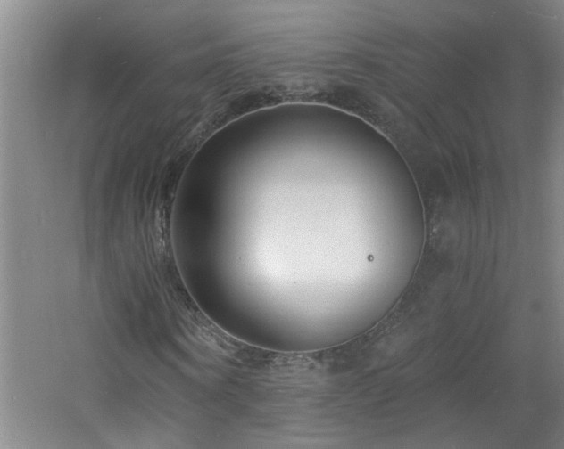 X0000060810866200511101450