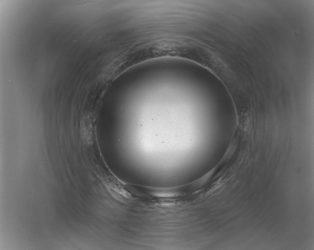 X0000060810868200511101450