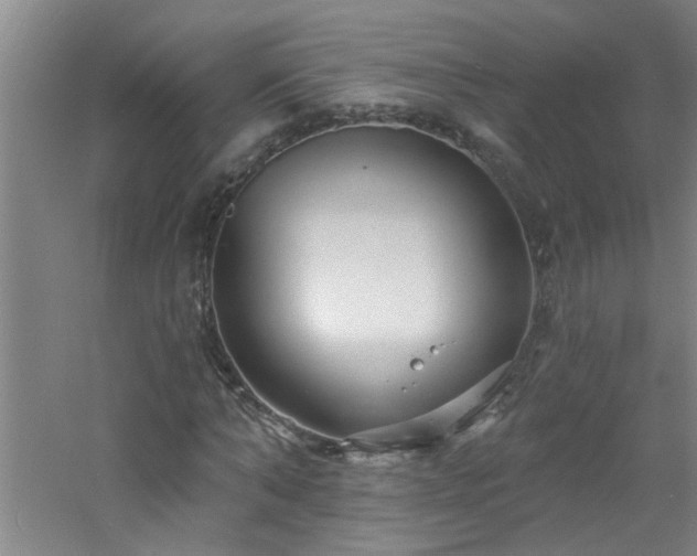 X0000060810870200511101450