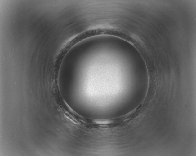 X0000060810872200511101450