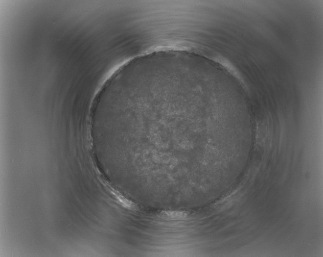 X0000060810878200511101450