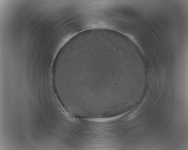 X0000060810879200511101450