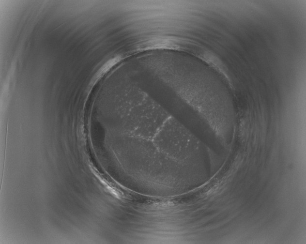 X0000060810882200511101450