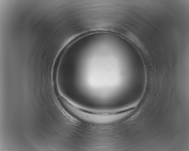 X0000060810884200511101450