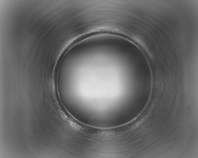 X0000060810888200511101450