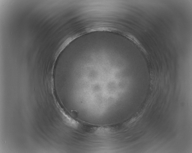 X0000060810890200511101450