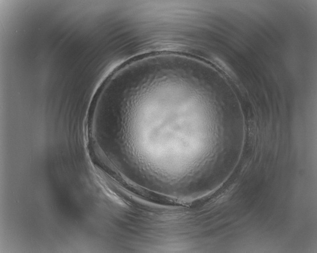 X0000060810891200511101450