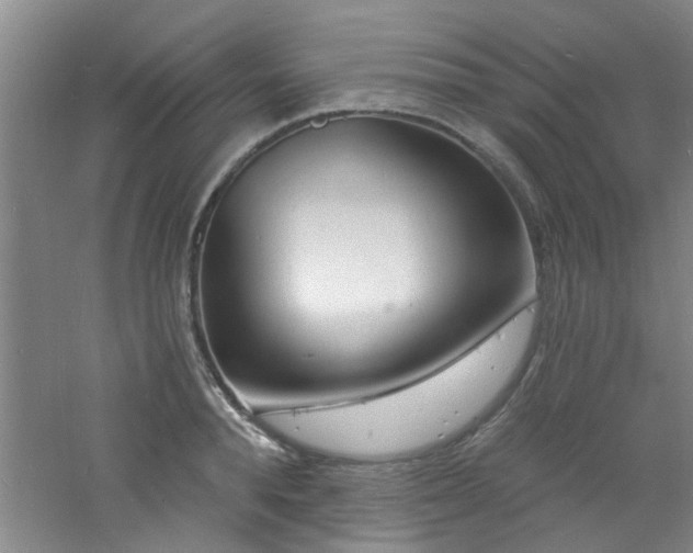 X0000060810896200511101450