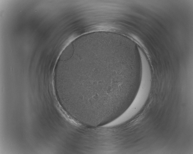 X0000060810899200511101450