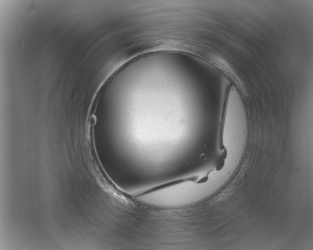 X0000060810900200511101450