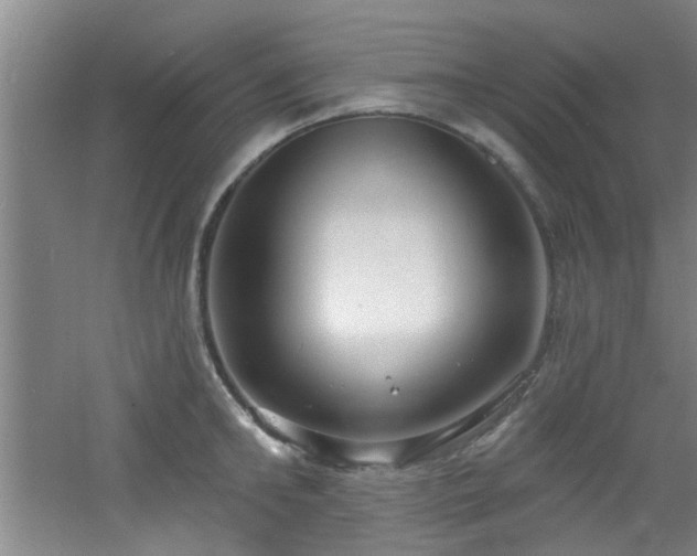 X0000060810902200511101450